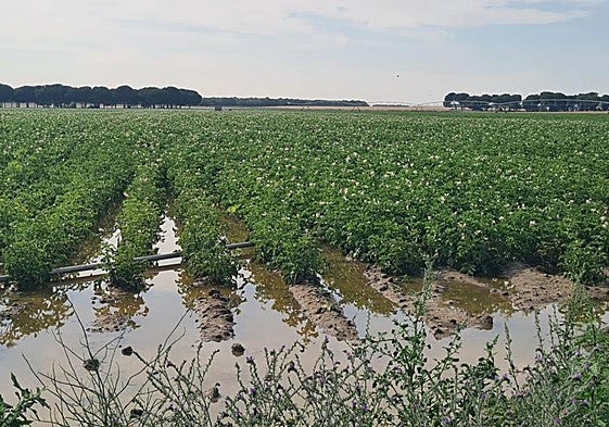 León recibe este año el mayor apoyo en ayudas directas de la PAC desde su inicio