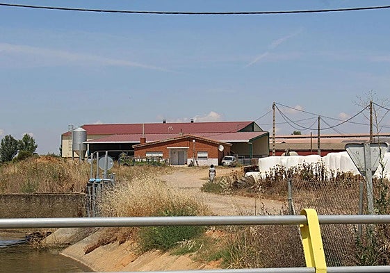 Una mujer inmigrante vuelve a su casa en Algadefe.