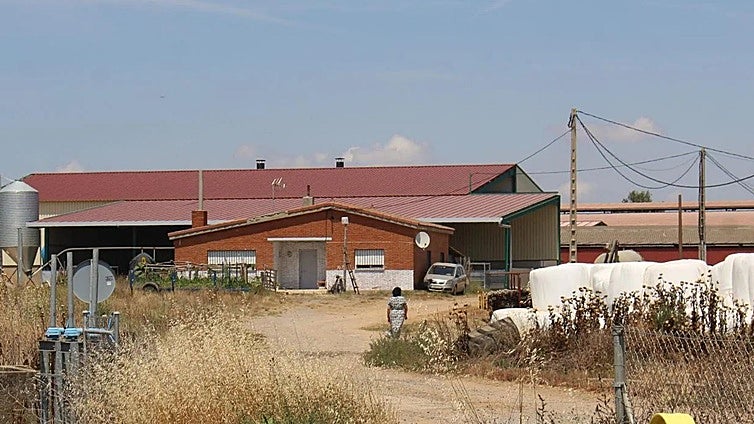 Uno de cada diez trabajadores en León es extranjero