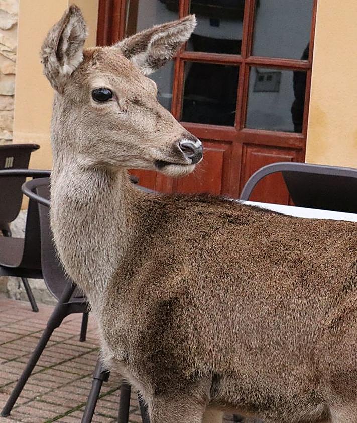 Imagen secundaria 2 - Imágenes de Pepa al lado de Javier Alonso.