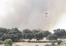 Incendio en Malillos.