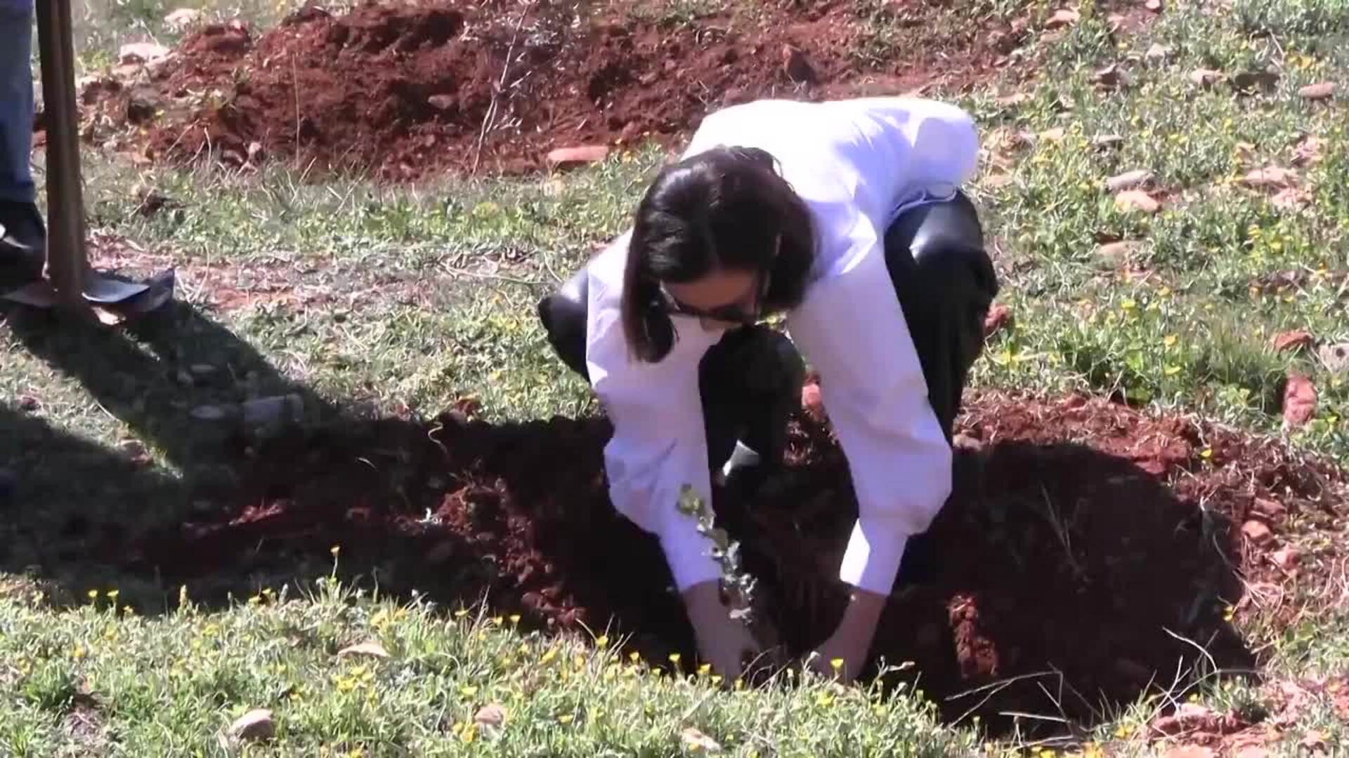 Maribel Verdú, Leonor Watling y Aitana Sánchez-Gijón participan en una plantación de encinas