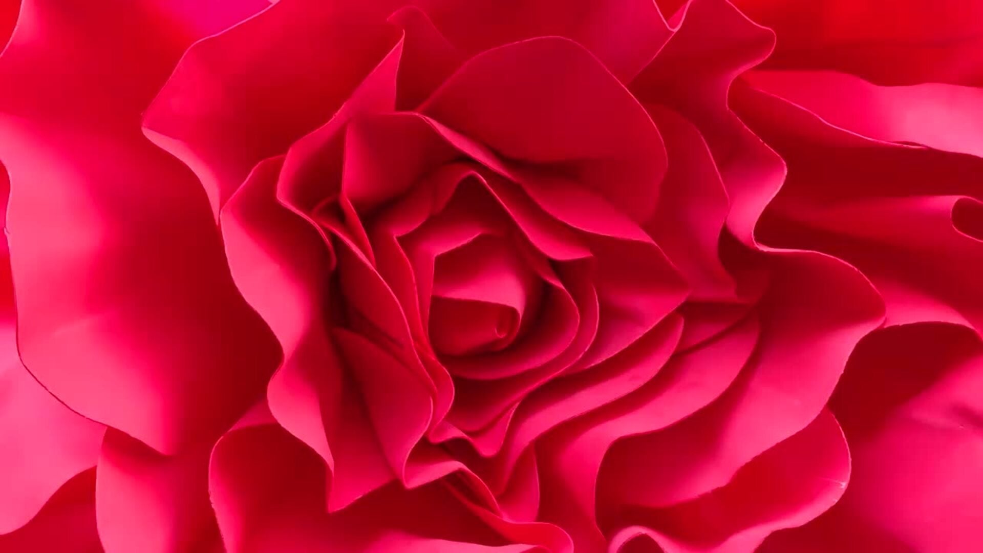 Barcelona se llena de puestos de libros y rosas para celebrar Sant Jordi