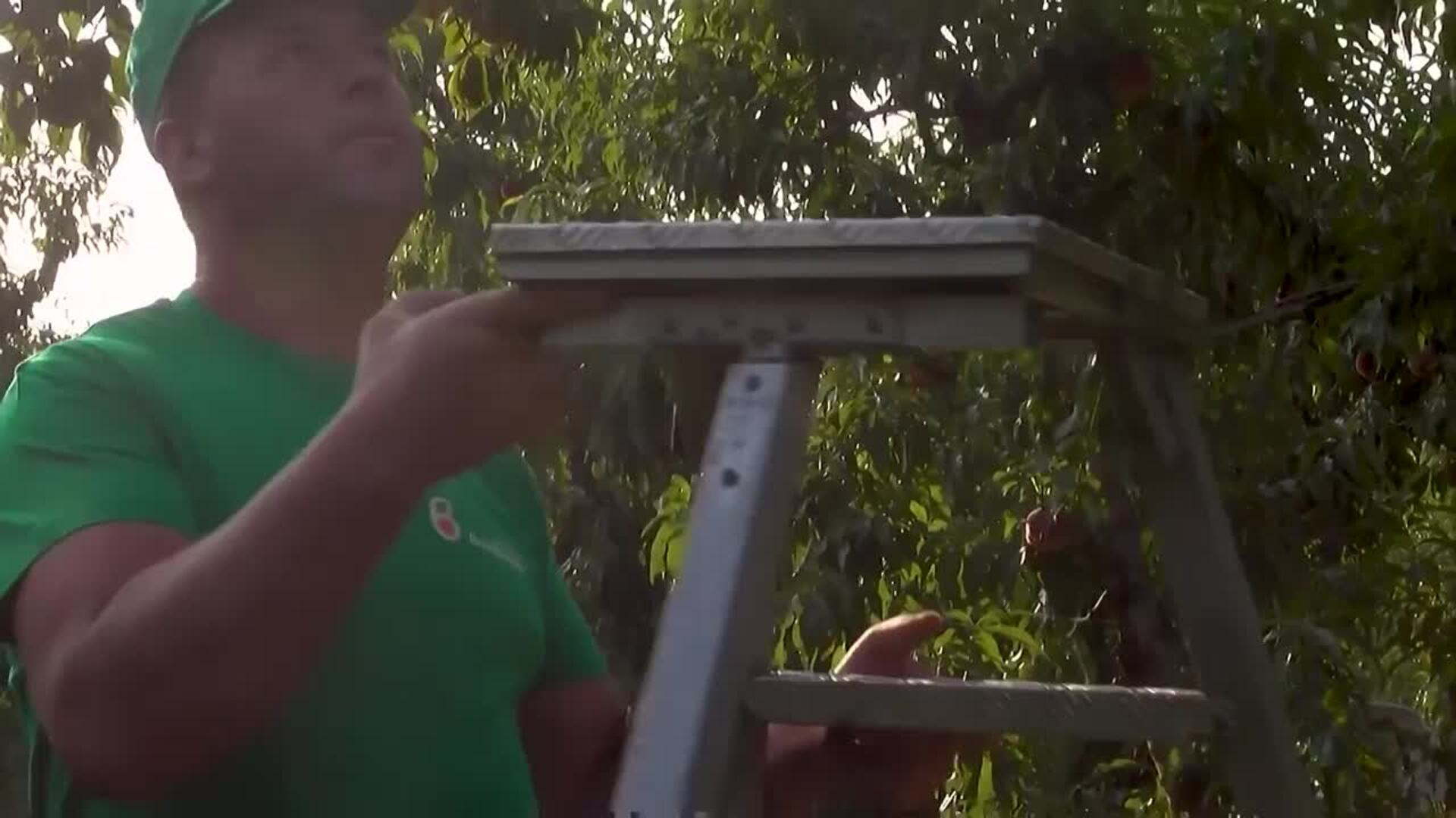 El paro baja en 4.846 personas en septiembre gracias a construcción y servicios