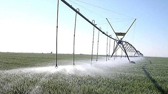 El Canal Alto de Villares digitaliza sus regadíos para mejorar la eficiencia en el uso del agua