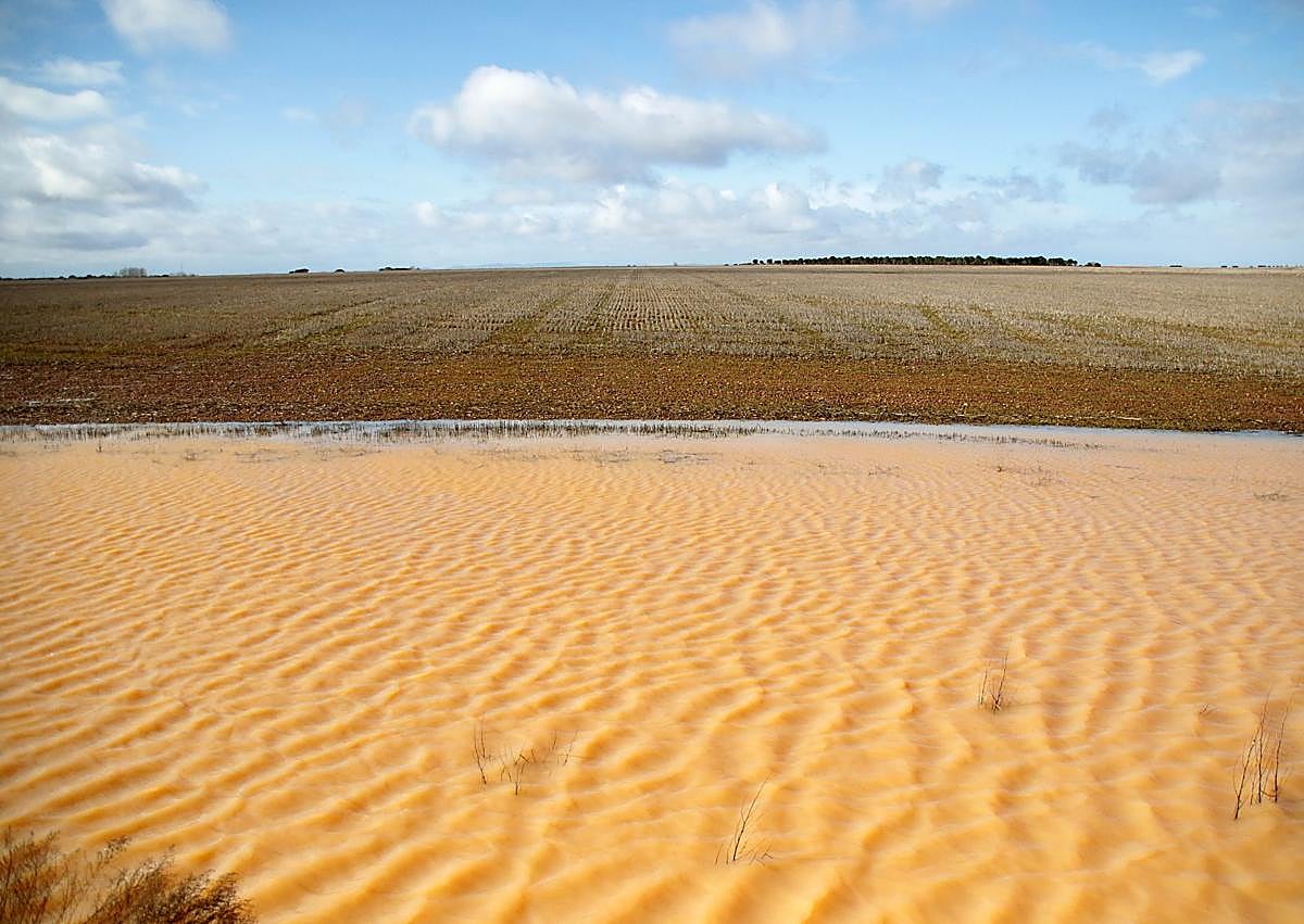 Imagen secundaria 1 - Campos anegados en la ribera del Cea en el sur de León.