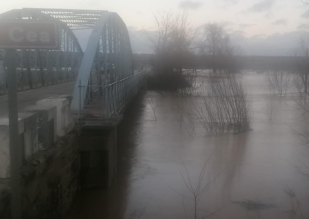 Imagen secundaria 1 - El río Cea, desbordado en Valderas.