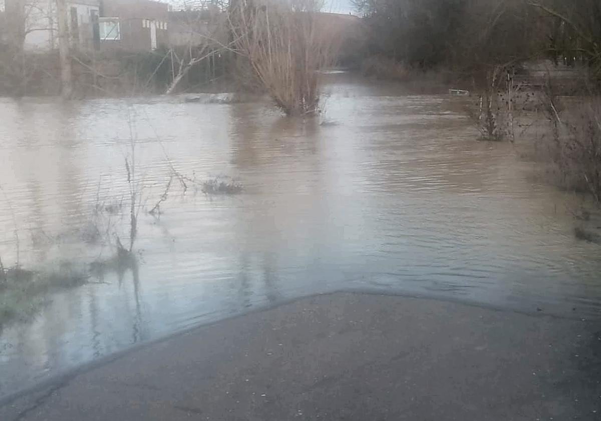 Imagen principal - El río Cea, desbordado en Valderas.