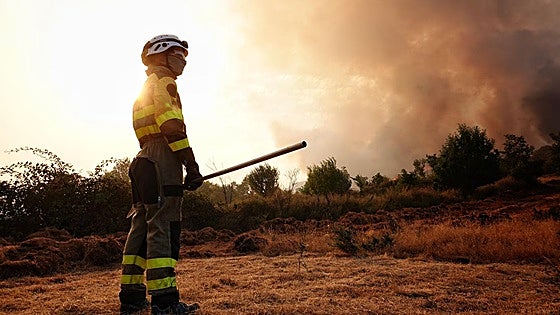Brugos de Fenar reconoce la labor de las brigadas forestales en 2025 con «una sorpresa especial»