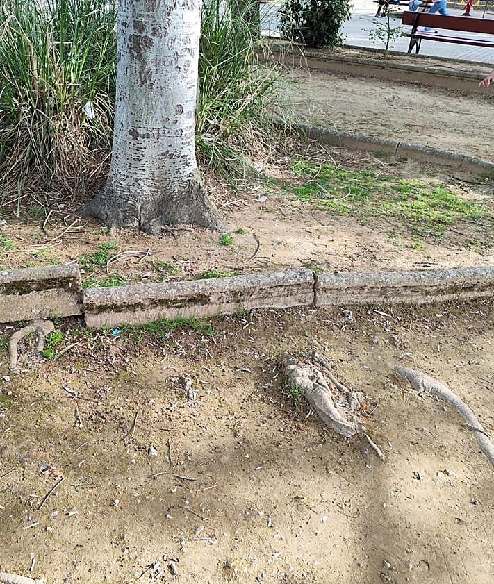 Imagen secundaria 2 - Un balancín sin asiento y astillado; cristales en una zona de juego infantil; y un bordillo levantado y raíces sobresaliendo del suelo.