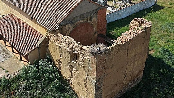 La muerte de dos cigüeñas en un pueblo de León hace un mes activa los protocolos