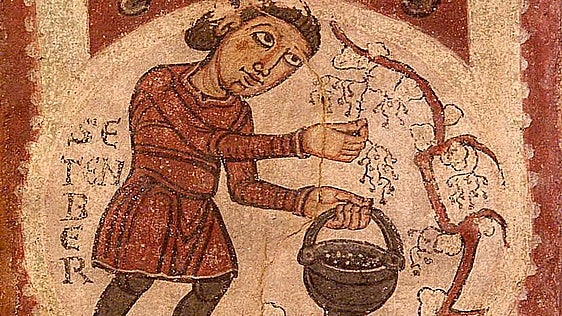 El vino más antiguo del mundo que se custodia en la Basílica de San Isidoro