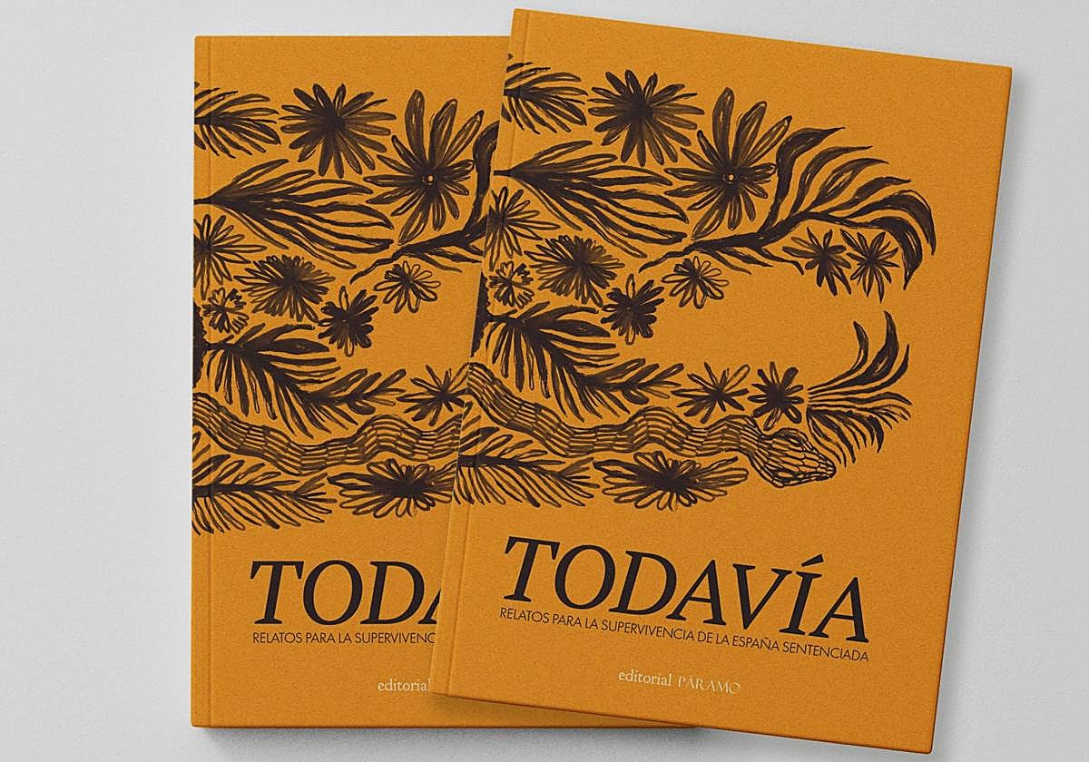 Todavía. Relatos para la supervivencia de la España sentenciada.