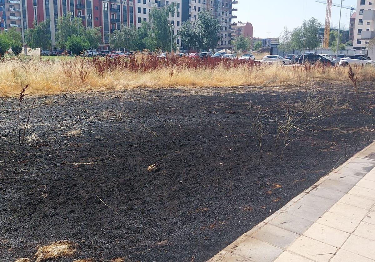 El solar calcinado en La Lastra tras el incendio de este viernes.