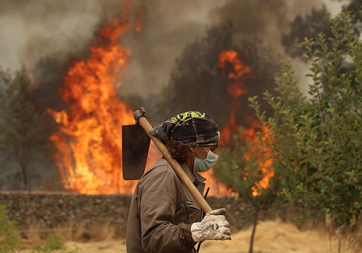 Incendio en la provincia de Ávila.