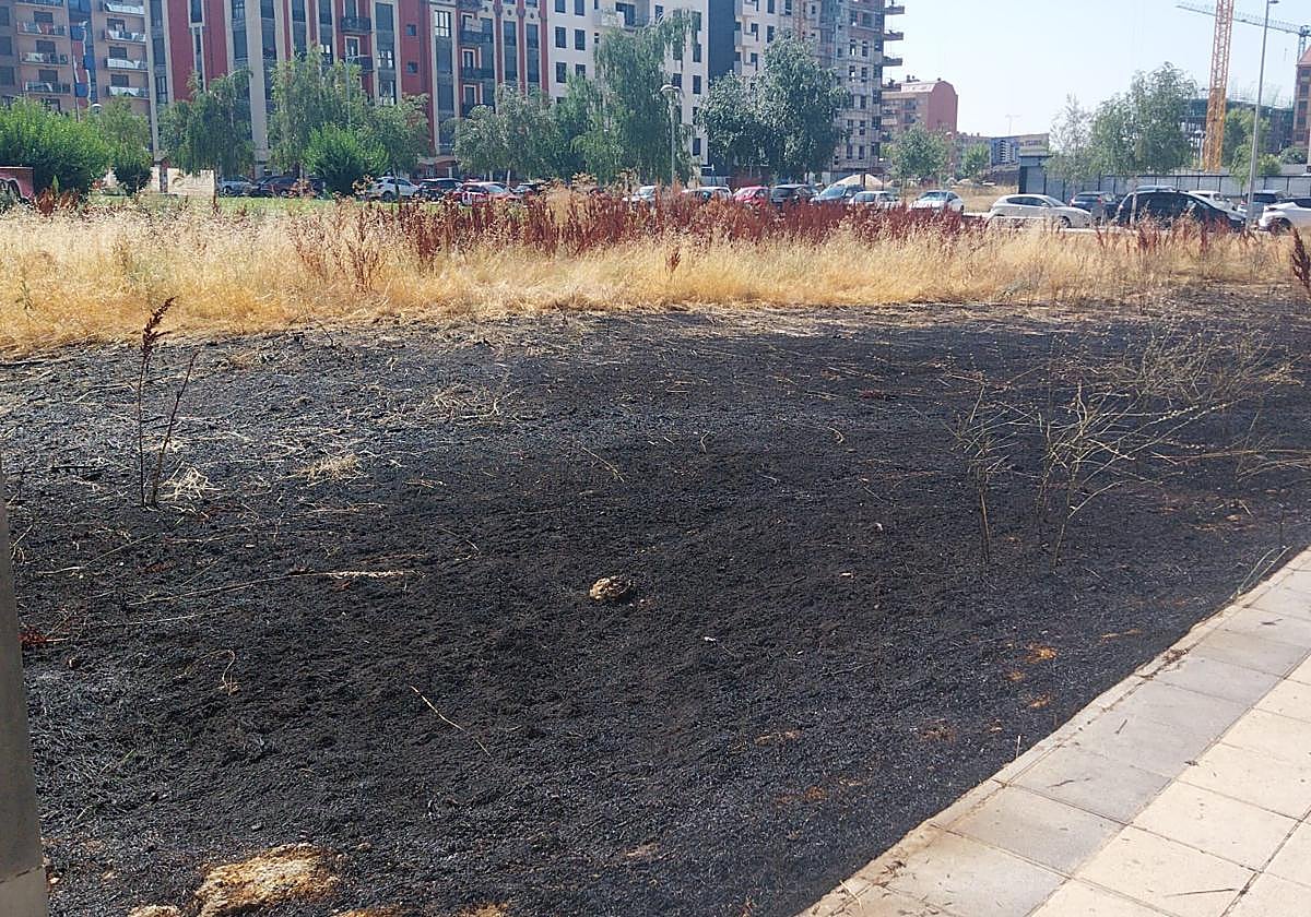 Solar incendiado en La Lastra el pasado viernes.