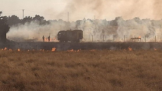 Seis menores identificados por el incendio que calcinó una parcela durante el eclipse en Trobajo del Camino