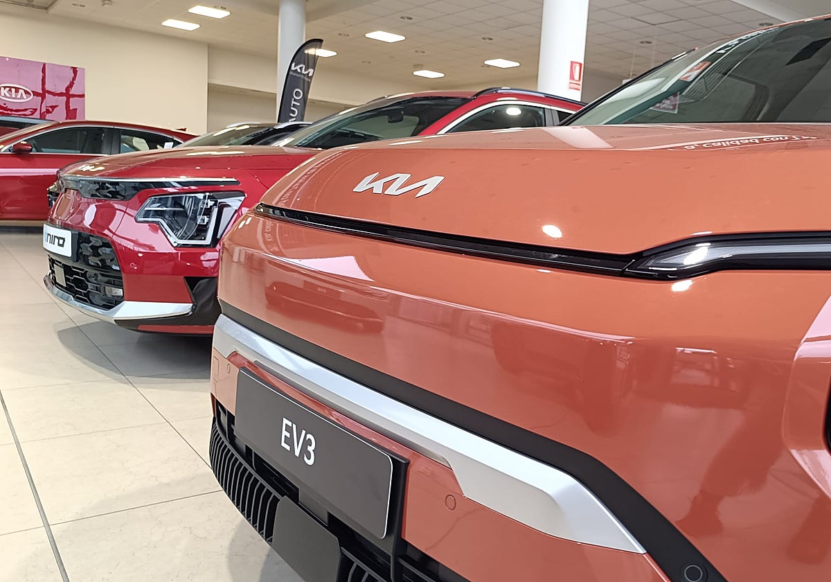 Haz el agosto con Kia Busanauto