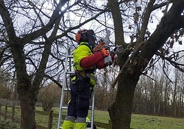 Curso Práctico de Poda, Desbroce y Cuidados de Frutales para la Prevención de Incendios y el Desarrollo Rural
