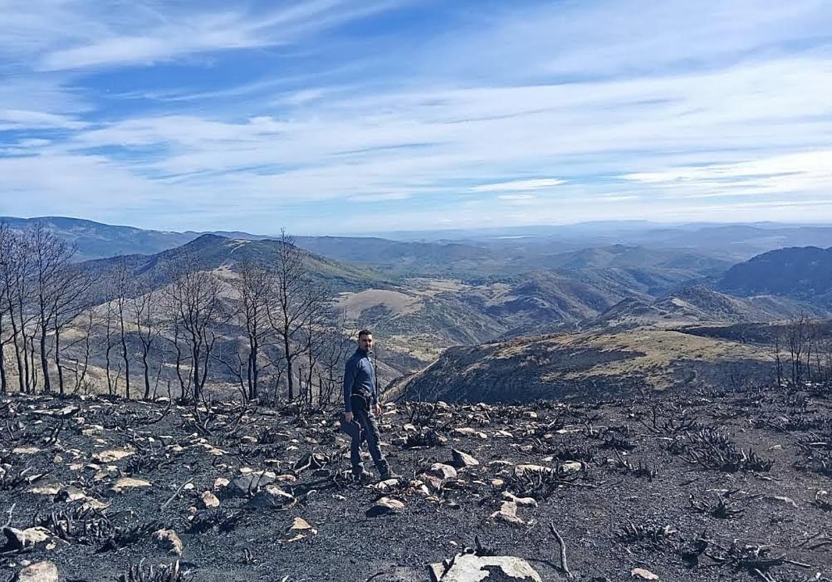 Imagen de una de las zonas de incendios.