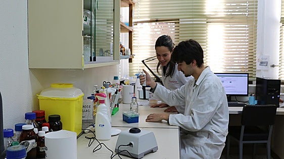 Los Premios Mariano Rodríguez reconocen el talento investigador joven con acento leonés