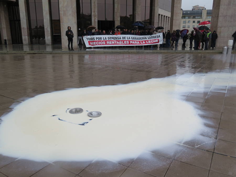 La leche vuelve a derramarse ante la Junta