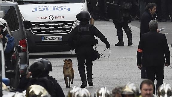 Un agente, con un perro durante la operación.