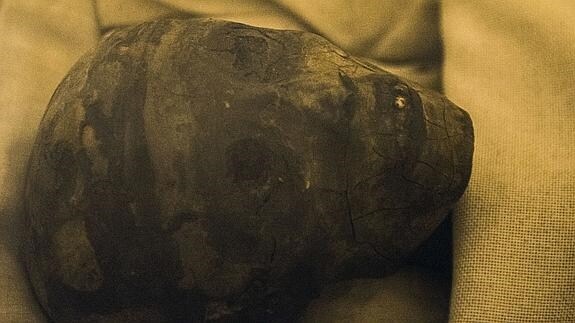 Vista de la momia del faraón Tutankamón.