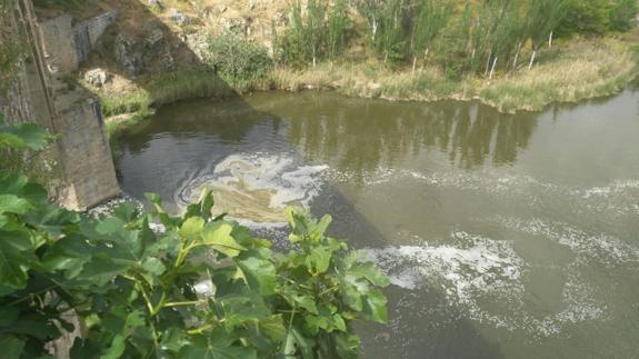 Espumas verdes en el río Tajo.