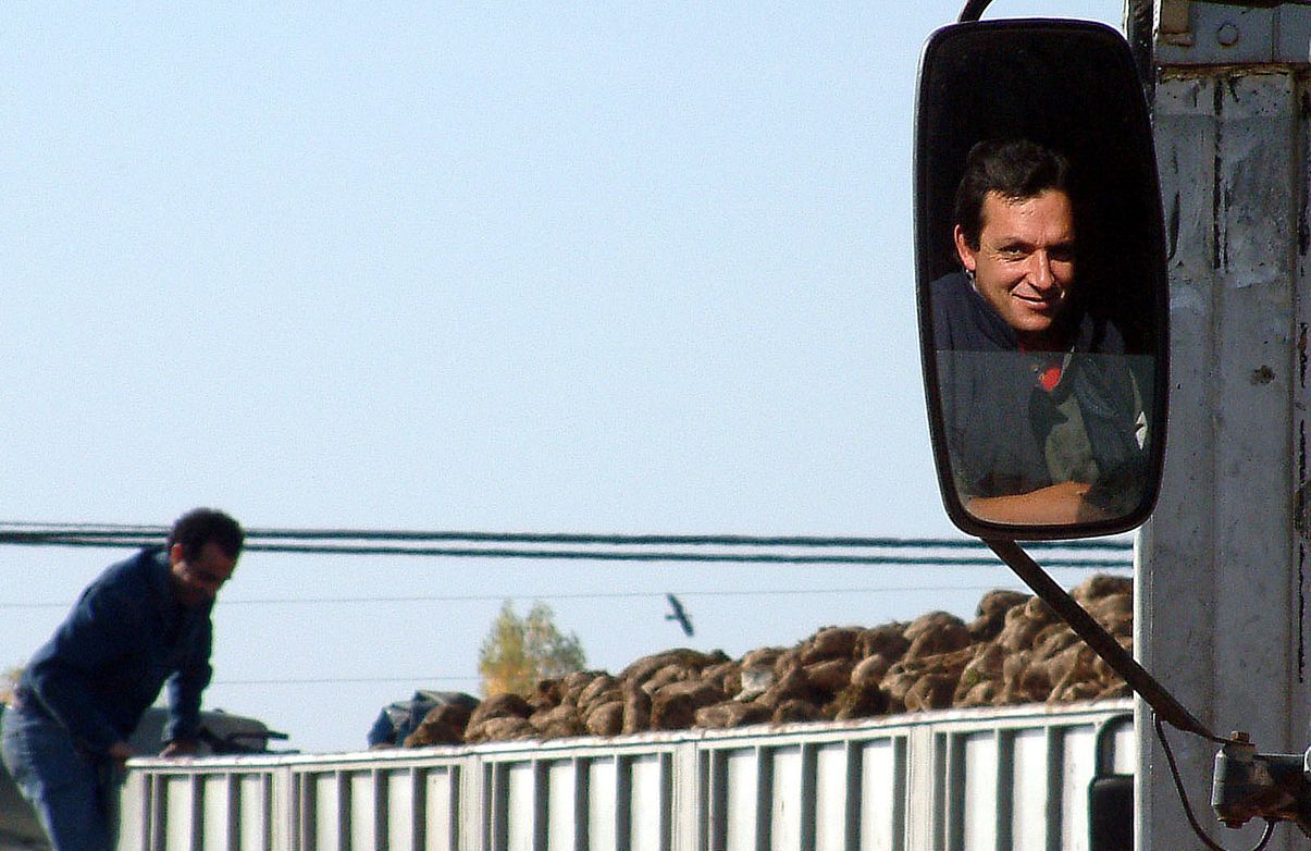 Un camionero observa cómo un compañero entrega remolacha.