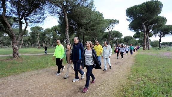 39 edición de la Marcha Asprona. Participan, la consejera de Familia e Igualdad de Oportunidades, Alicia García; el presidente de Asprona, Manuel Fernández; la delegada del Gobierno, María José Salgueiro; y el vicepresidente de las Cortes, Ramiro Ruiz Medrano