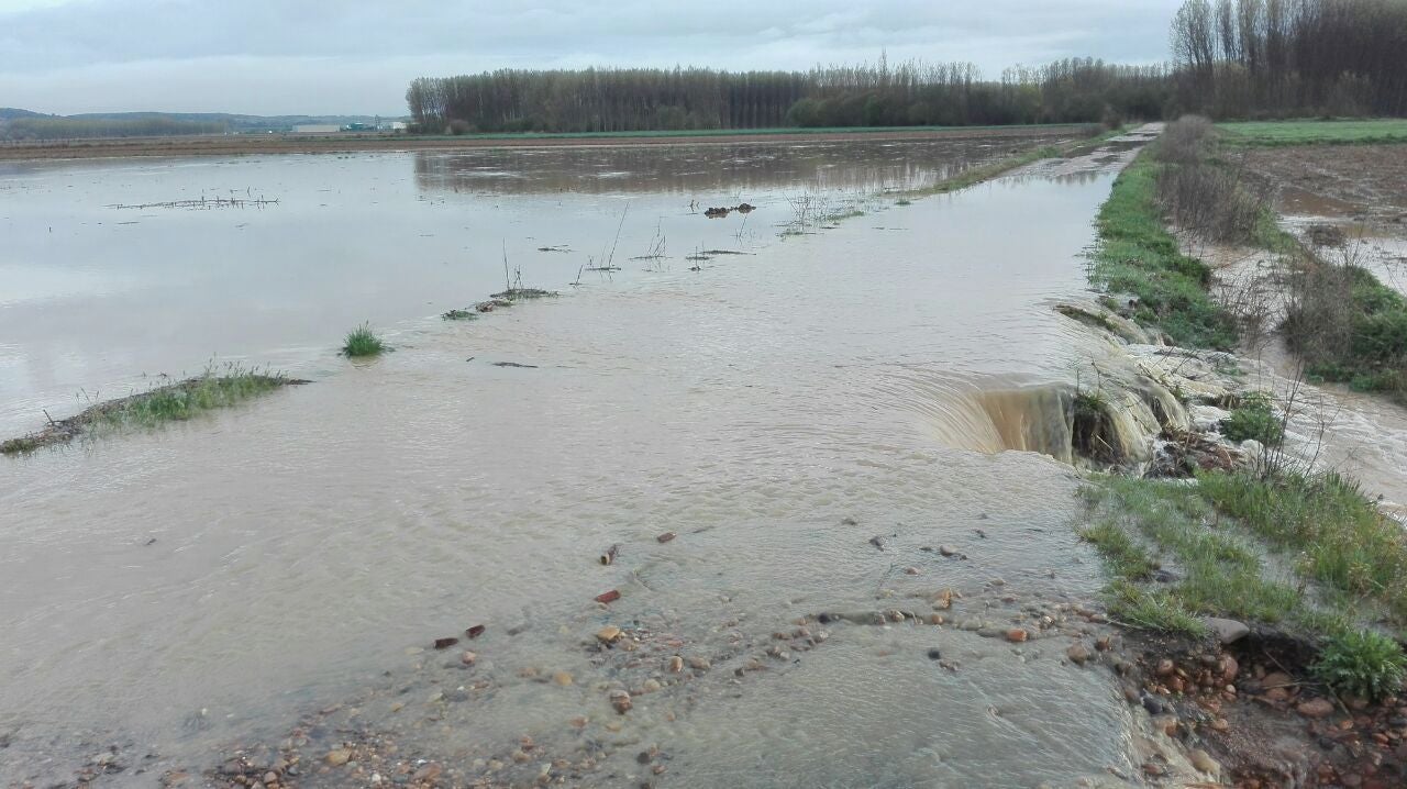 Imagen de las inundaciones provocadas por la falta de limpieza de los desagües