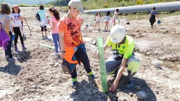 Estudiantes del Bierzo plantan árboles en la cantera de Cementos Cosmos