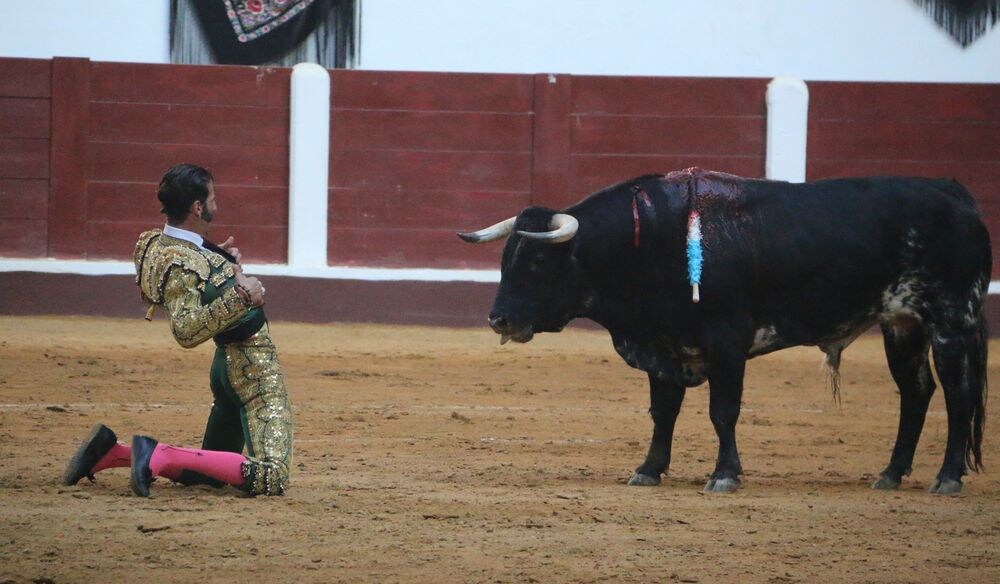 Padilla se enfrenta al toro en la Plaza leonesa.