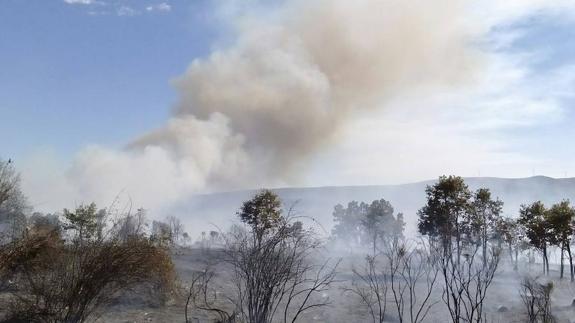 Un anciano resulta herido con quemaduras en diversas zonas del cuerpo en el incendio