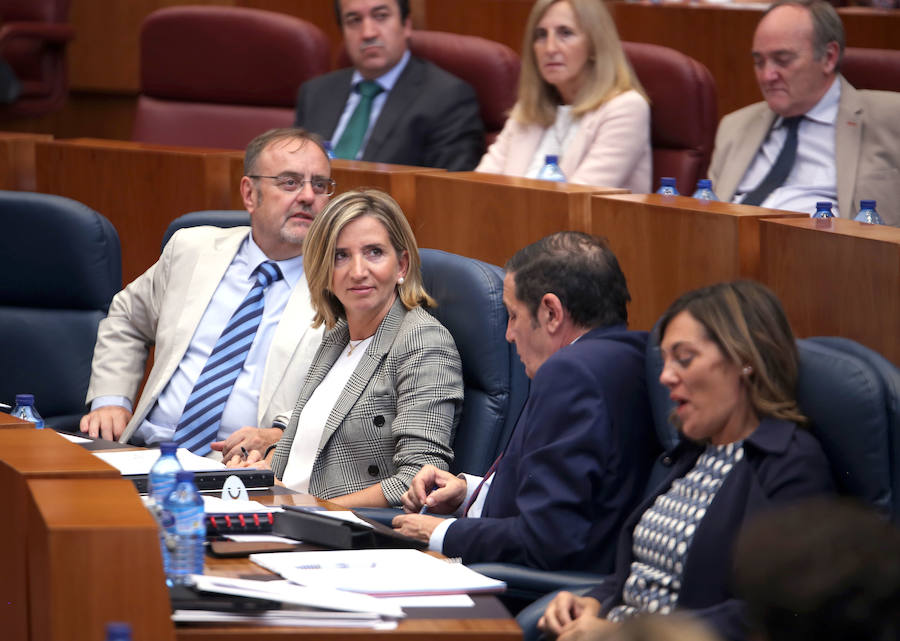 Rey (I), durante el Pleno de las Cortes.