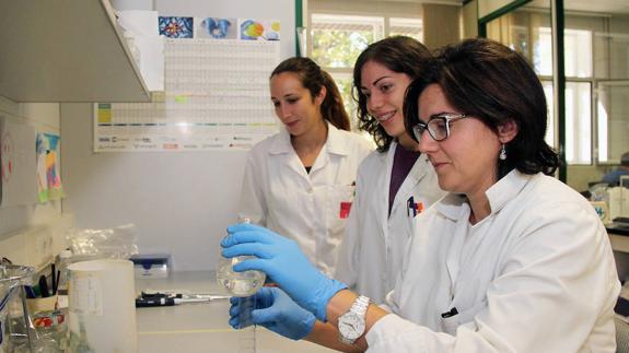 El Instituto de la Viña de la ULE aspira a lograr su primera patente internacional con un proyecto contra la entrada de hongos en la vid