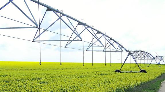El campo de Castilla y León aumenta su consumo de agua un 16,9% en 2014, frente al incremento nacional del 4,1%