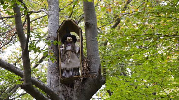 Un hada colgada en una de la hayas del Faedo de Ciñera. 