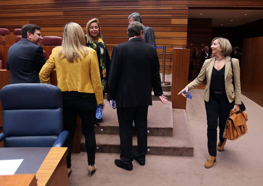 La consejera de Familia e Igualdad de Oportunidades de la Junta de Castilla y León, Alicia García, a su llegada al Pleno de las Cortes.