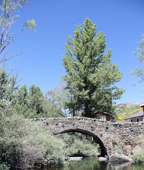 Puente sobre el río Curueño, a la altura de Cerulleda