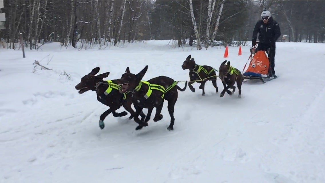 El leonés, durante un entrenamiento en Ontario.