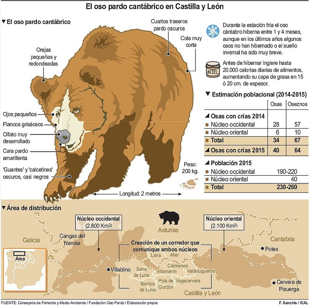 ¿Y si el oso ataca?