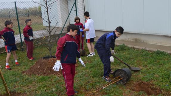 Los alumnos del Peñacorada plantan un árbol en el jardín del centro.