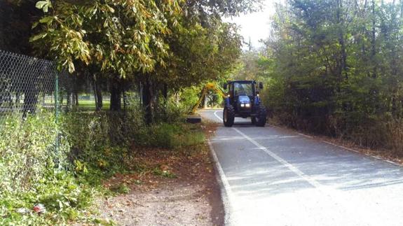 León incorpora mejoras en la limpieza de solares municipales y promulga un bando dirigido a particulares