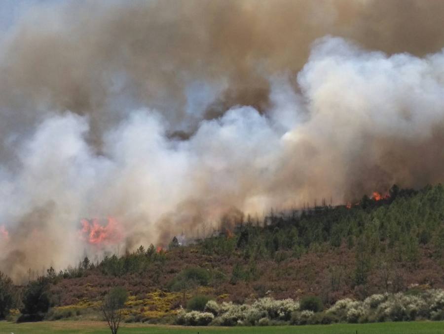 Vista del incendio en Castrocontrigo. 