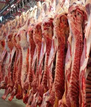 Escándalo cárnico en León: nueve empresarios acusados de distribuir carne  sin garantías | leonoticias