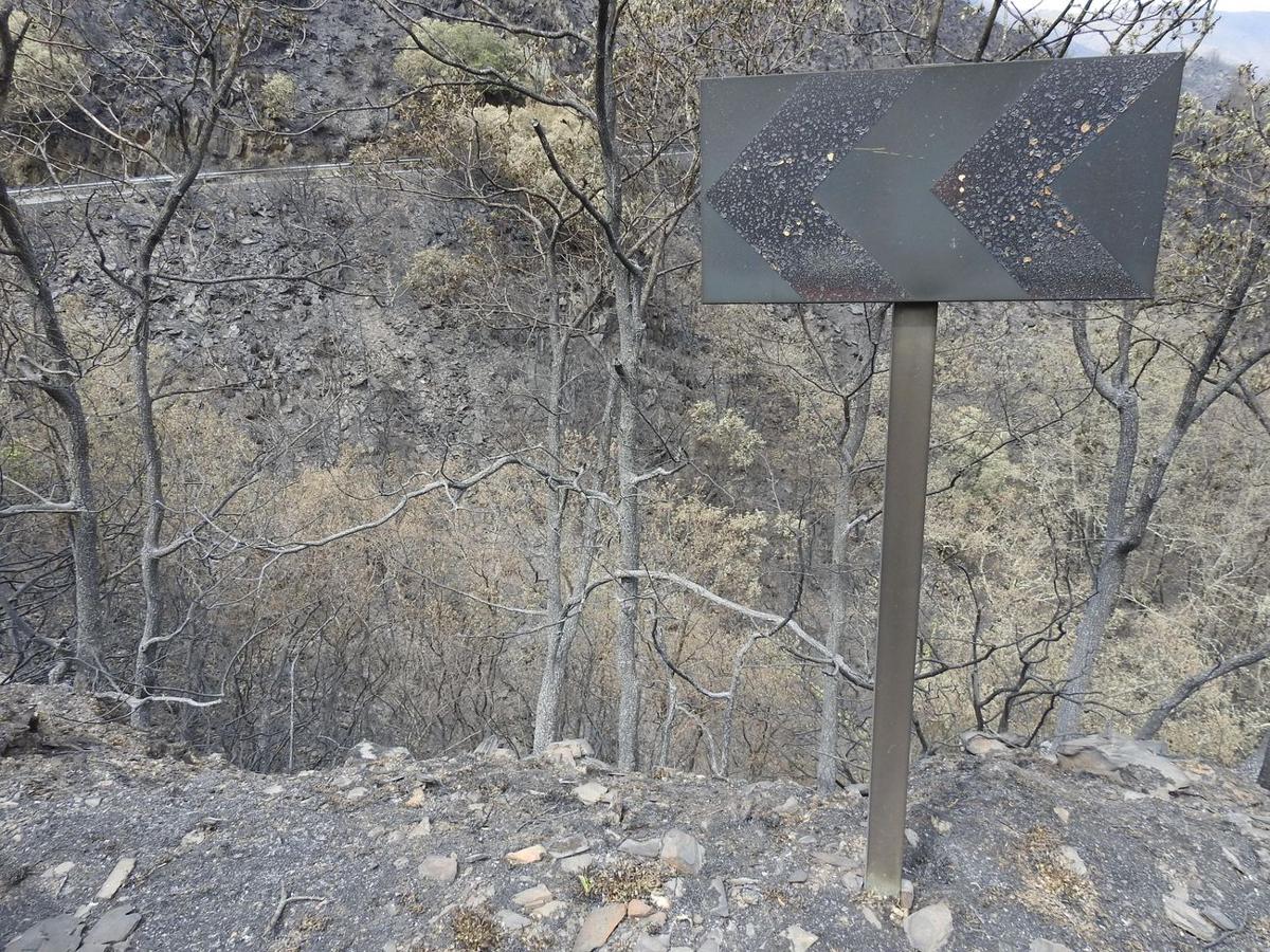 Imagen de la Tebaida berciana tras el paso de las llamas.