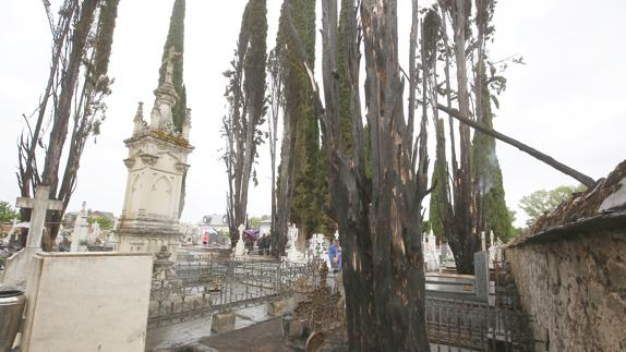 Efectos del incendio en el cementerio de Cacabelos.
