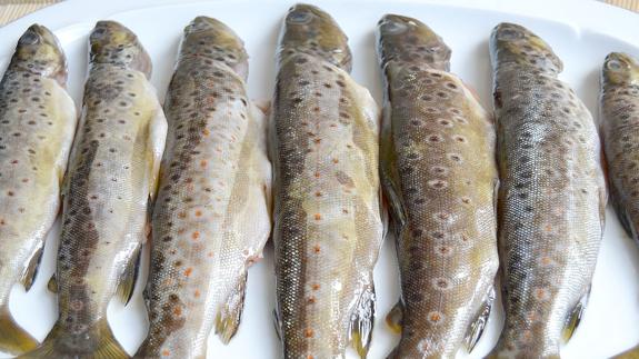 Jornada central de la Semana de la Trucha.